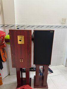 IMG_7938.jpeg