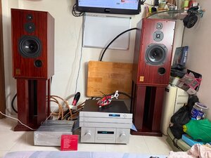 IMG_7981.jpeg