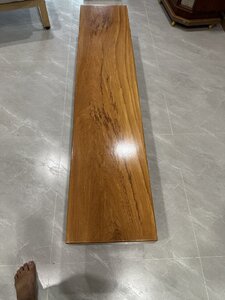 IMG_1755.jpeg