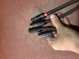 IMG_1537.jpeg