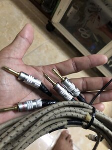 IMG_6013.jpeg