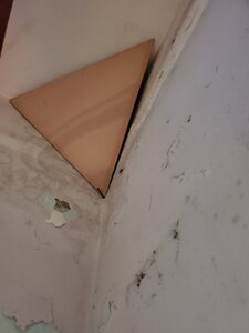20251116_070143.jpg