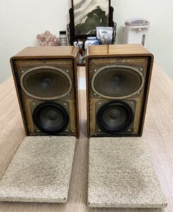 IMG_9581.jpeg