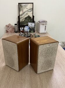 IMG_9584.jpeg