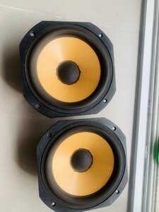 IMG_6792.jpeg