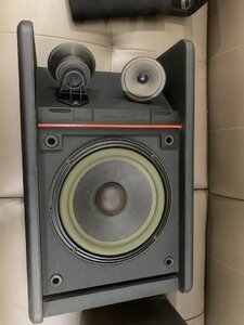 IMG_2560.jpeg