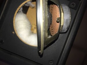 IMG_2558.jpeg
