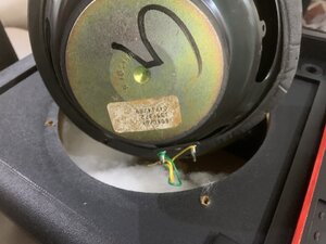 IMG_2555.jpeg