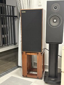 IMG_8433.jpeg