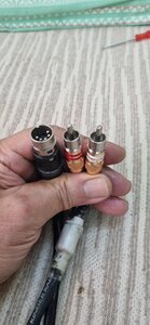 20251221_094253.jpg
