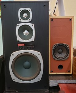 20251222_203106.jpg