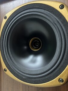 IMG_1379.jpeg