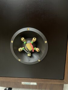 IMG_1382.jpeg