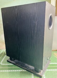 IMG_7243.jpeg
