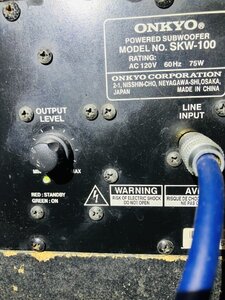 IMG_7237.jpeg