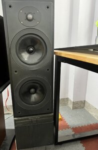 IMG_E2557 (FILEminimizer).jpeg