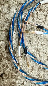 IMG_2097.jpeg