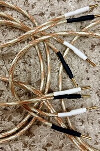 IMG_2139.jpeg