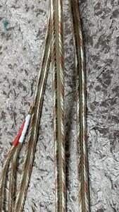 IMG_2306.jpeg
