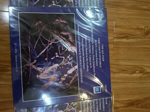 IMG_20260209_155536.jpg
