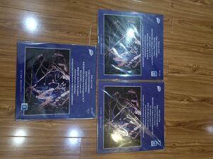 IMG_20260209_155411.jpg