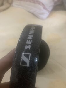 IMG_0003.jpeg