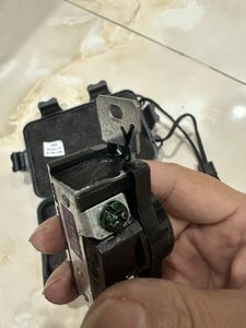 IMG_7920.jpeg