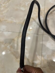 IMG_7913.jpeg