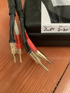 IMG_1591.jpeg