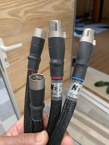 IMG_1565.jpeg