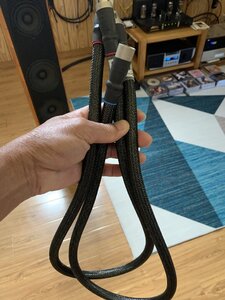 IMG_1566.jpeg