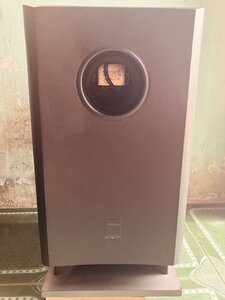 IMG_7846.jpeg