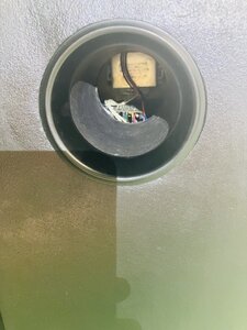 IMG_7851.jpeg