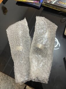 IMG_8783.jpeg