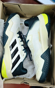 adidas (1).jpg