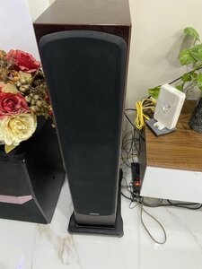 IMG_6278.jpeg