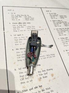 IMG_5451.jpeg