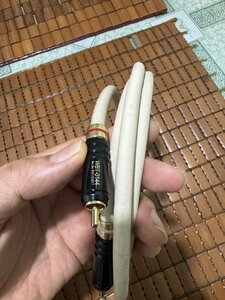 IMG_7883.jpeg