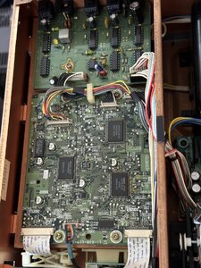 IMG_5235.jpeg