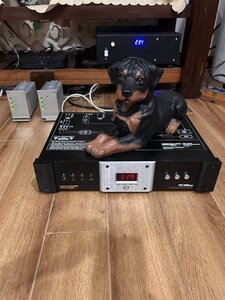 IMG_1027.jpeg