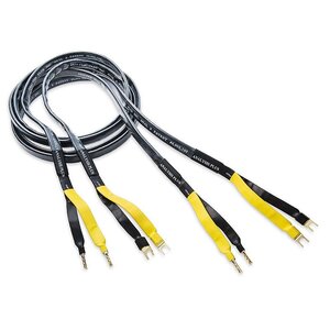 blackmeshoval9-speaker-800_86c88541325c4976bda896d930db47b9_master.jpg