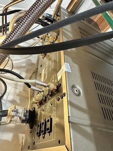 IMG_0839.jpeg
