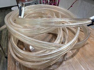IMG_2375.jpeg