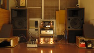 Bi amp 845se - 811se passive.jpg