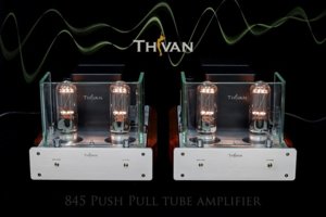 Thivan845PushPullamplifier2013_zpsfcbad3a7.jpg