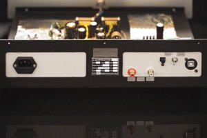 AMBER REAR-filtered.jpg