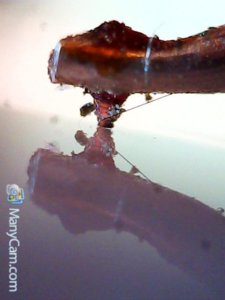 My Snapshot_330.jpg