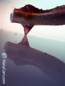 My Snapshot_331.jpg