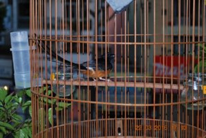 DSC_2710.JPG