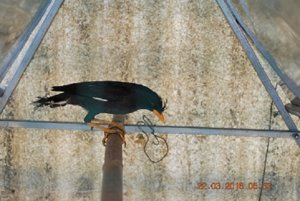 DSC_2651.JPG
